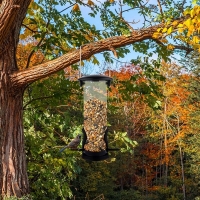 Hranitor pentru pasari, 22 x 6.5 cm, transparent/negru, My Garden 1265